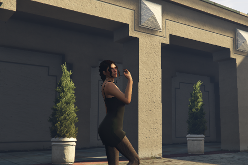  [Add-On / FiveM] Pose Pack Animation