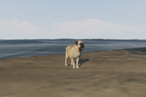 Pug [REPLACE/FIVEM ADD-ON]