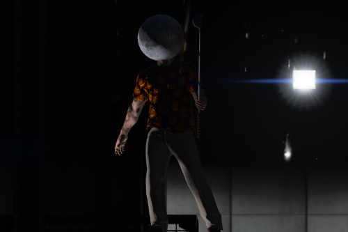 The Moon